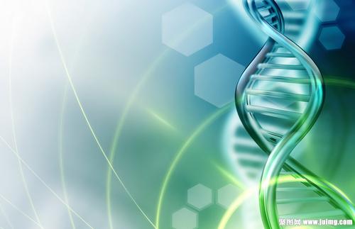 2020年5月通过了ISO13485质量管理体系认证和欧盟TUV颁发的CE0197认证